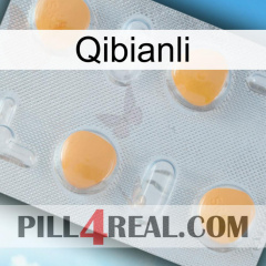 Qibianli 24